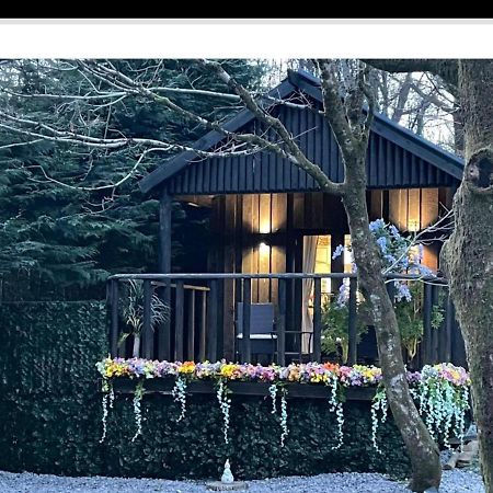 Bluebell Lodge فورت ويليام المظهر الخارجي الصورة