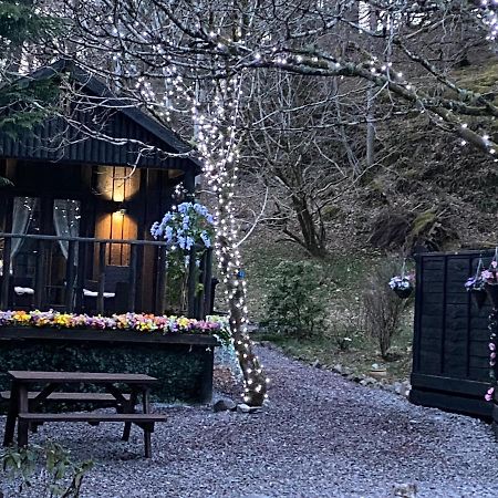Bluebell Lodge فورت ويليام المظهر الخارجي الصورة