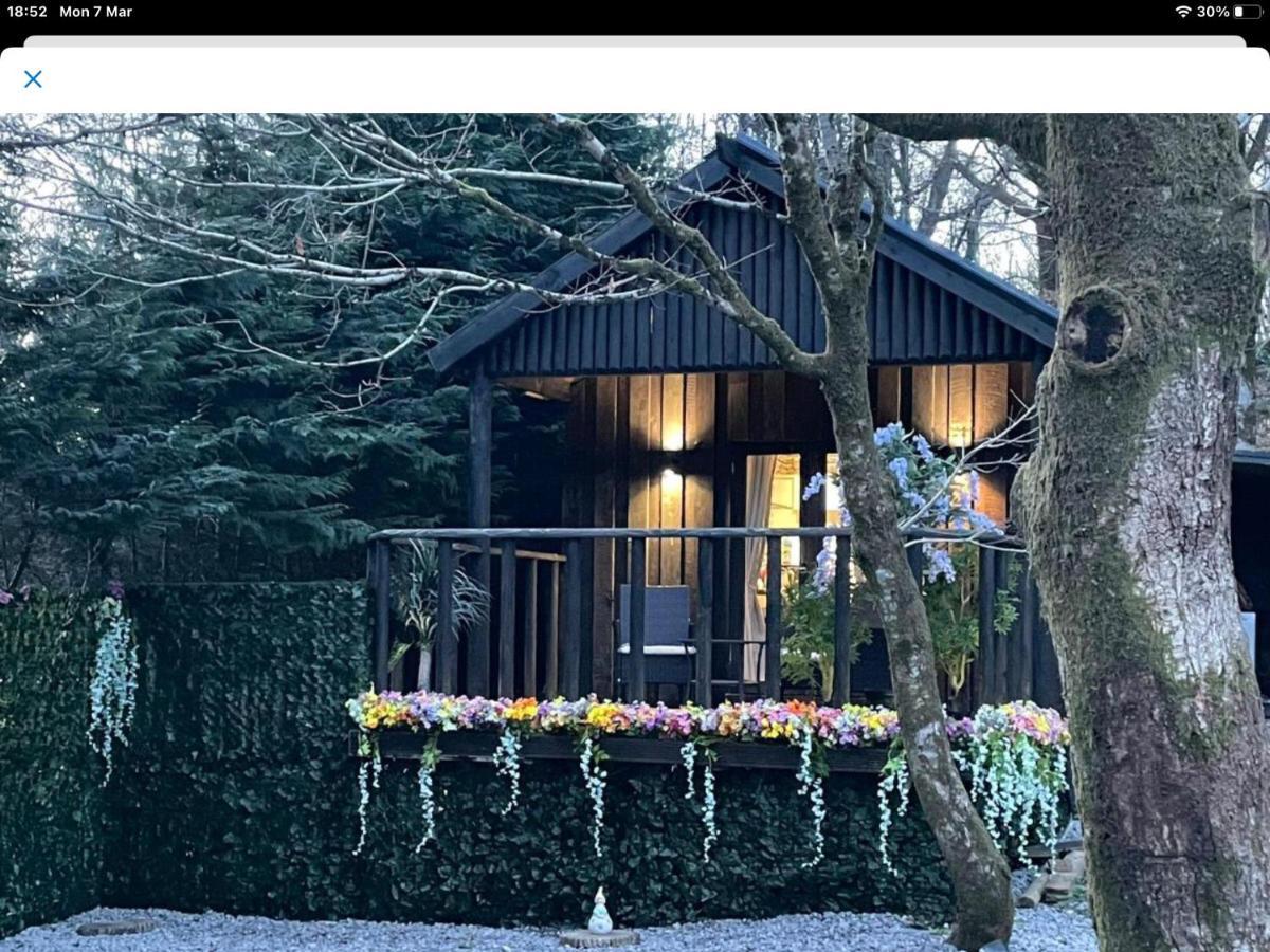 Bluebell Lodge فورت ويليام المظهر الخارجي الصورة