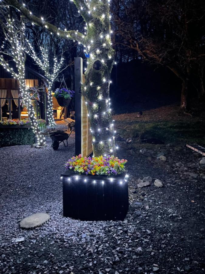 Bluebell Lodge فورت ويليام المظهر الخارجي الصورة